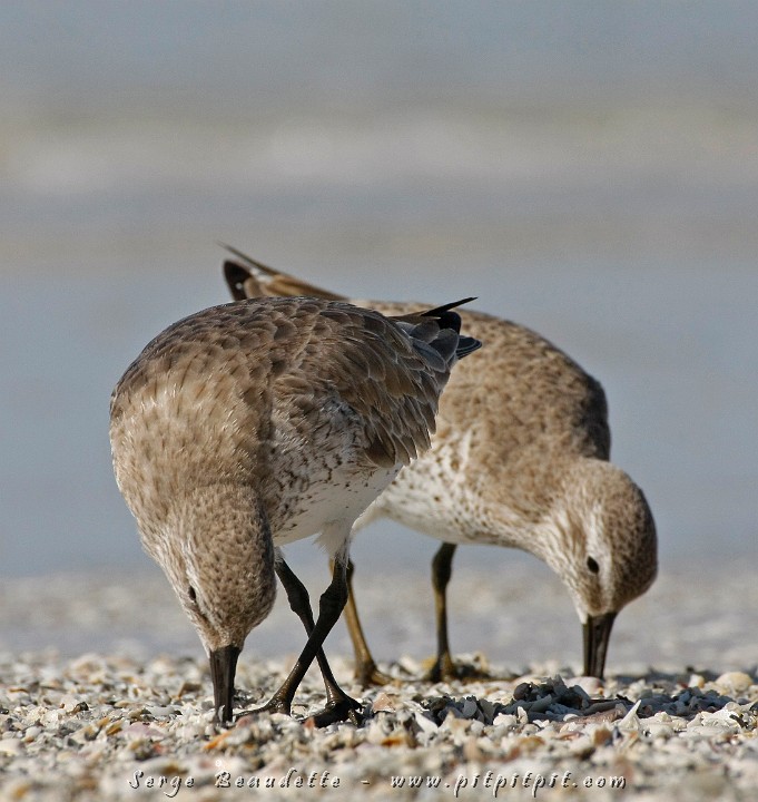 2009-01-04 10-53-20__MG_9654.JPG